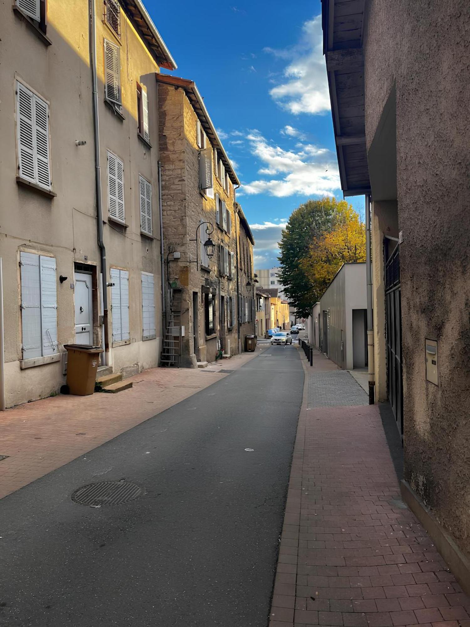 索恩河畔自由城Tinyhouse Experience In Beaujolais公寓 外观 照片